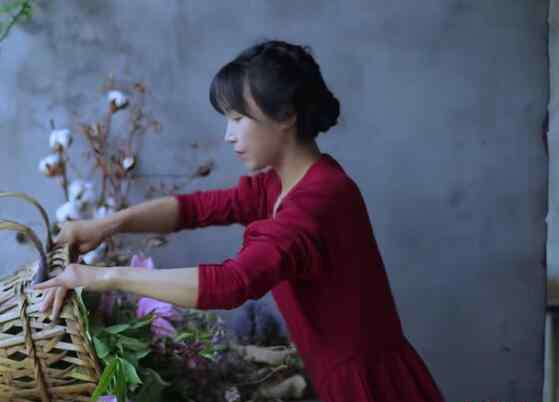 李子柒团队有多少人 李子柒的视频是谁给她拍摄的 李子柒背后有创作团队吗