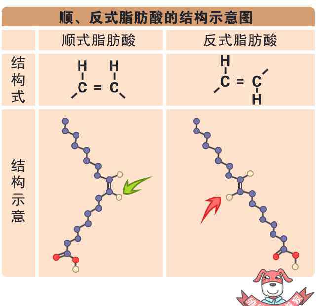 反式脂肪酸有什么危害 被世卫组织拉黑的“反式脂肪”，就藏在你常吃的这几种食物里