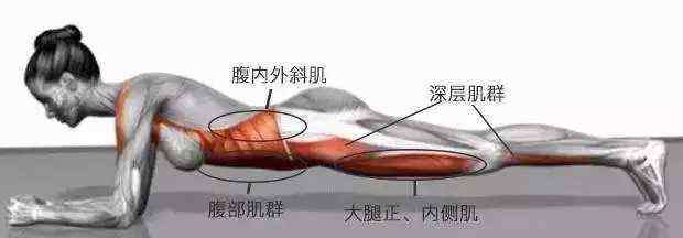 平板支撑增强性功能 坚持平板支撑30天，身体会发生什么惊人变化