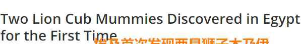 埃及出土木乃伊 2000多年前的狮子木乃伊出土，原来古埃及人就是这么吸猫的？