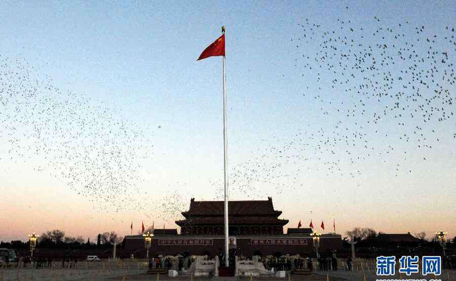 升旗仪式图片 天安门广场举行元旦升旗仪式