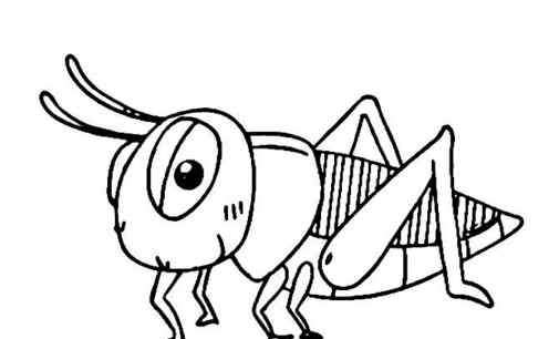 蚂蚱的简笔画 蚱蜢动物简笔画_昆虫的画法