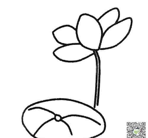 荷花简笔画图片彩色 莲叶和莲花简笔画图片_荷花儿童绘画作品图集