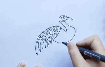画孔雀的简笔画 孔雀怎么画_简单美丽的孔雀简笔画画法步骤教程