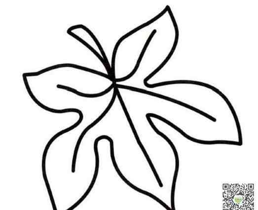 枫叶怎么画 枫叶怎么画简笔画图片