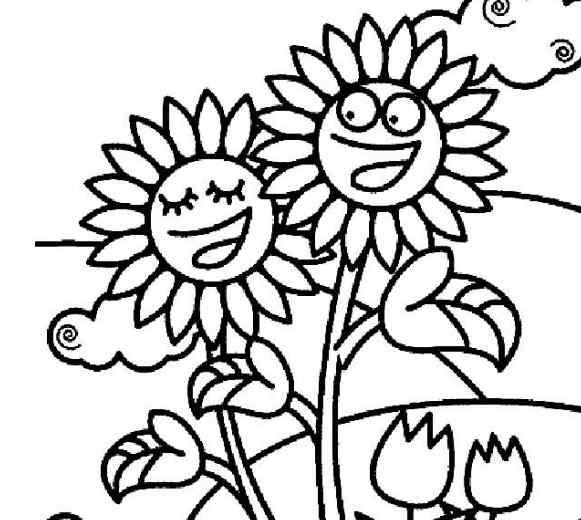 最漂亮的向日葵图片 美丽的向日葵植物简笔画图片