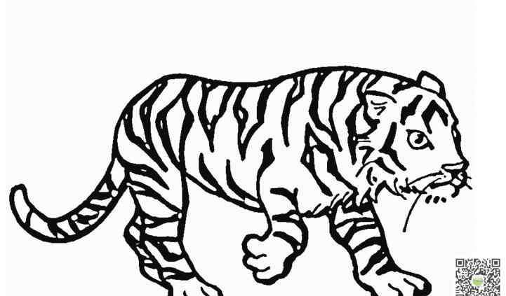霸气猛虎画 凶猛的大老虎简笔画图片_儿童绘画作品图集
