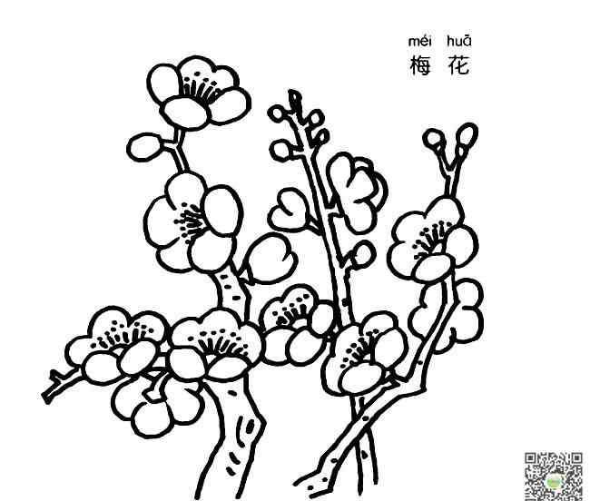 梅花树简笔画 梅花树枝简笔画图片_梅花儿童绘画作品图集