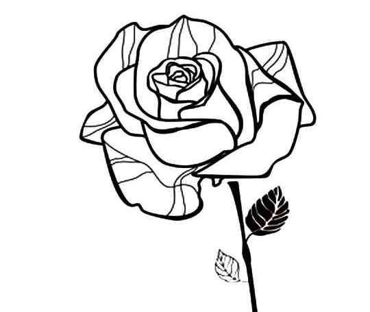 送给教师节的画 献给老师的一束玫瑰花教师节简笔画