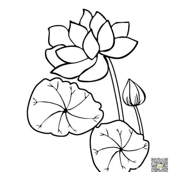 荷叶荷花简笔画 荷花与荷叶简笔画图片_荷叶儿童绘画作品图集
