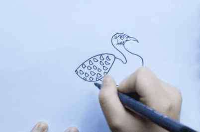 画孔雀的简笔画 孔雀怎么画_简单美丽的孔雀简笔画画法步骤教程