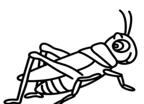 蚂蚱简笔画 蚱蜢动物简笔画_昆虫的画法