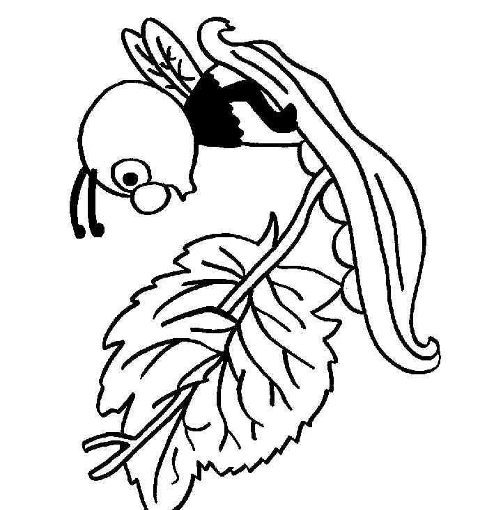 蜜蜂的简笔画 可爱的蜜蜂简笔画图片_可爱的蜜蜂儿童绘画图集