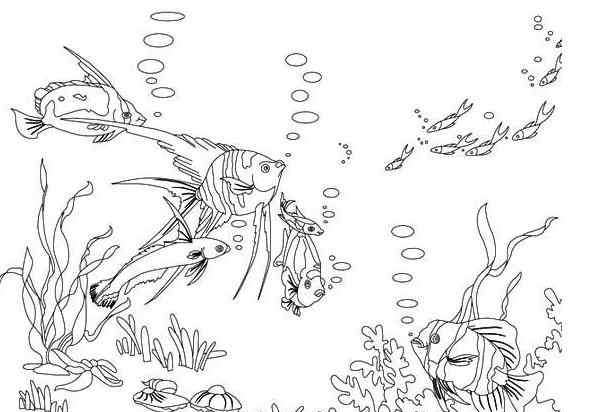 100海洋动物简笔画大全 海洋动物的简笔画大全_海底动物们在聚会