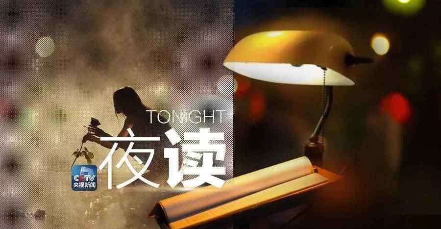 没有一个人是一座孤岛 没有人是一座孤岛，愿所有生命都被温柔以待