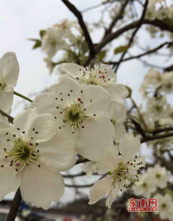 雨水图片 雨水节气图片朋友圈说说心情句子 2020雨水节气文案祝福语
