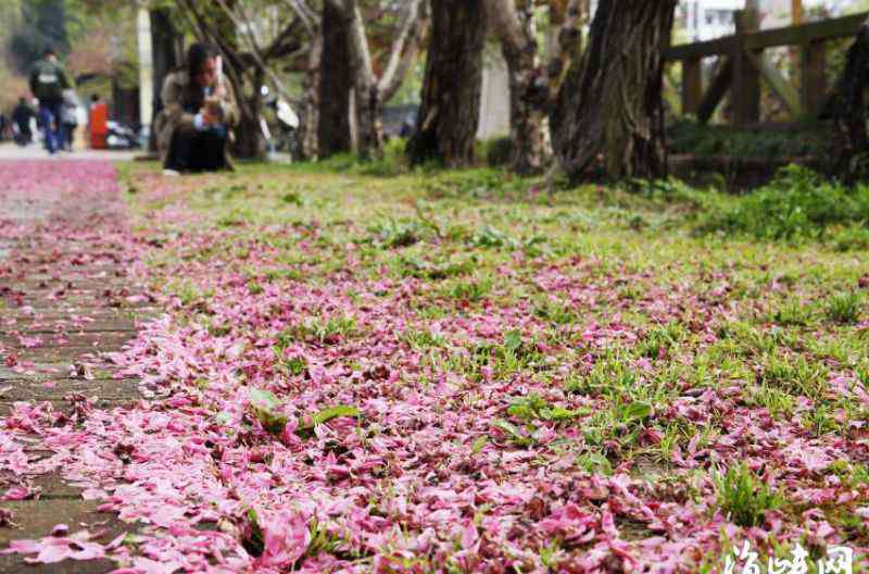 雨水图片 雨水节气图片朋友圈说说心情句子 2020雨水节气文案祝福语