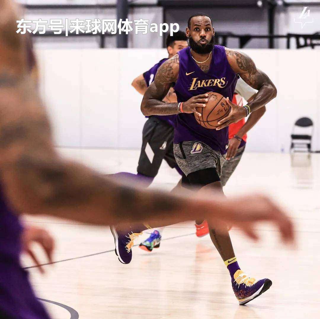 湖人vs国王直播 NBA直播：湖人vs国王，紫金军欲赛季横扫国王收官！