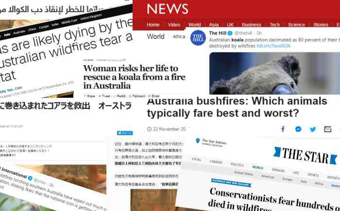 澳大利亚的国宝是什么动物 8000澳大利亚“国宝”被烧焦 真相究竟是什么?