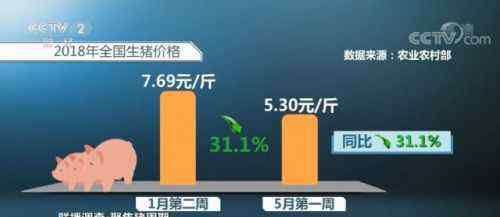 一头猪到出栏成本多少 猪价跌破成本 养殖户一头猪亏300元