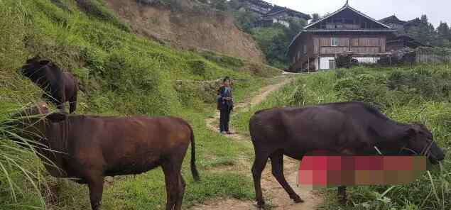 石奶引 人民币女孩的现实人生:曾是村花梦想是种好地