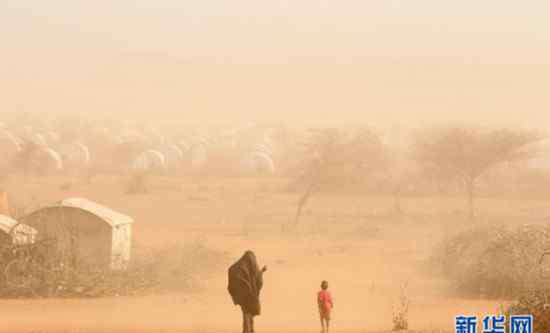荒漠化 世界防治荒漠化和干旱日：这个日子，需要我们重视！