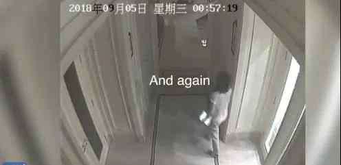 孙杨哪里人 被裁决书称为最帮倒忙的人 孙杨母亲到底做了什么