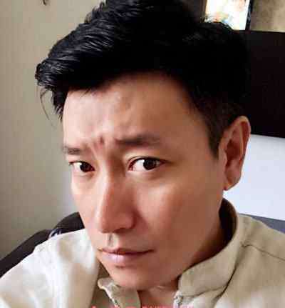 张鹰 张鹰个人资料 张鹰拍过的电视剧