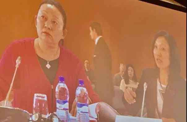 孙杨哪里人 被裁决书称为最帮倒忙的人 孙杨母亲到底做了什么
