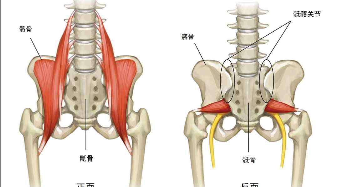 后背疼怎么办 跑者后背疼痛怎么办？ 这三个应对方法请知晓