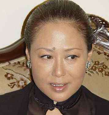 斯琴高娃个人资料 斯琴高娃个人资料 斯琴高娃和儿子女儿关系