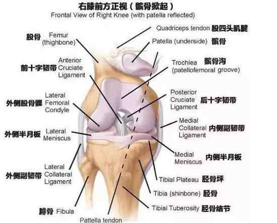 单腿臀桥 这份膝盖伤病自检指南 每个人都需要