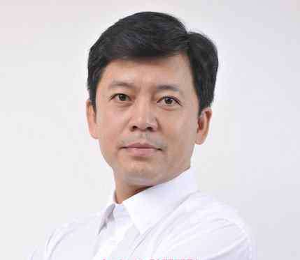 何政军个人资料 何政军个人资料 何政军主演的电视剧