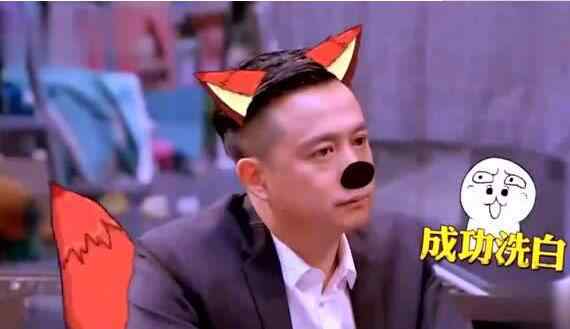 黄磊智商 极限挑战黄磊智商爆表惊呆节目组 导演连忙求饶不要再试了