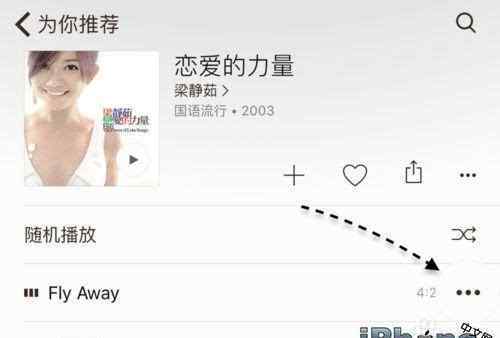 iphone怎么下载音乐 Apple Music怎么离线下载音乐？方法教程
