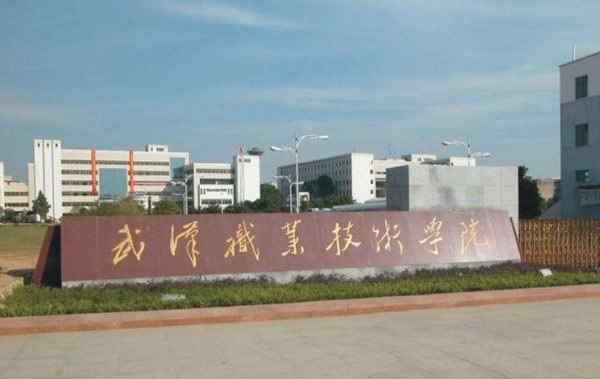 武汉专科学校 武汉最好的4所专科院校，武职“当仁不让”排第一，还有3所是谁？