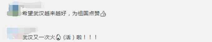 武汉又“火”了 看到武汉的跨年活动 国外网友羡慕了