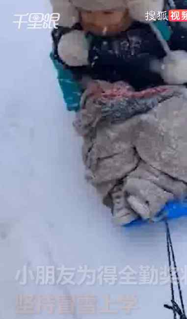 萌娃为拿全勤奖坚持冒雪上学 妈妈用雪板拖行送上学 头发结冰