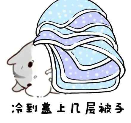零下8度幼儿园只来了1个学生 老师组团包围！网友：感动又不敢动