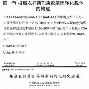 转基因农作物插入毒素 转基因农作物究竟插入了哪些毒素 敢公开吗