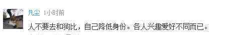 藏獒价格 惊天交易卖出“狮王血统”藏獒 两只售价1800万