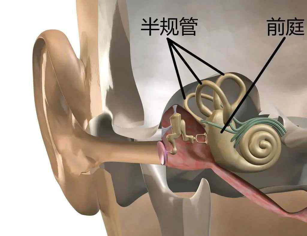 头晕恶心呕吐！王俊凯突然得的这种病 “盯上”了年轻人