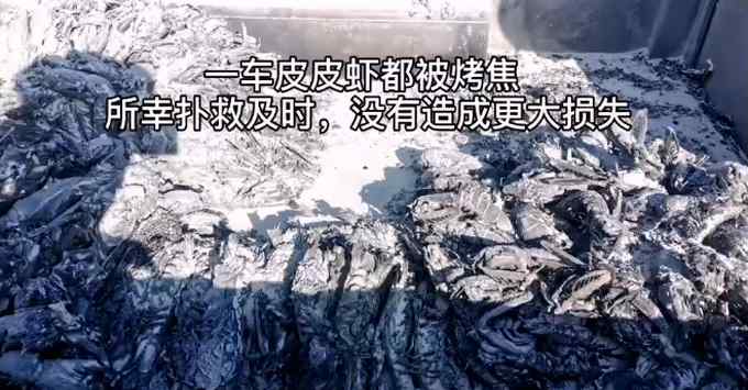 吃货哭了！浙江高速上一车皮皮虾全烤焦 只因司机一个随手动作