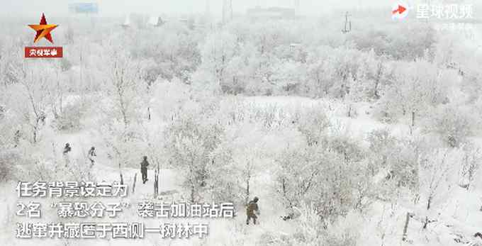 “极限挑战”！特战队员-20℃训练眉毛挂上白霜 网友：兵哥哥辛苦了！