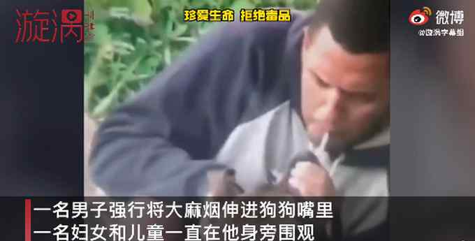 巴西一男子强迫狗狗吸大麻 被通缉原因令网友疑惑