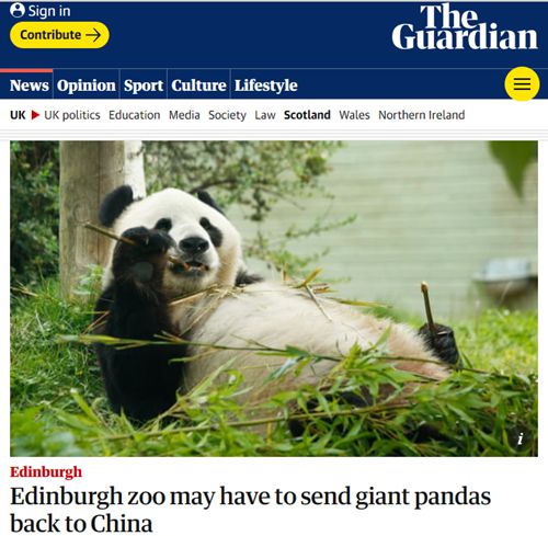英国考虑将大熊猫送回中国 动物园：养不起了！ 这意味着什么?