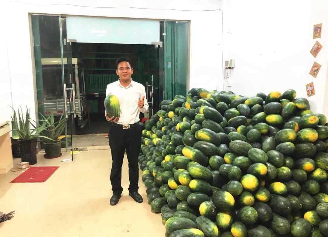 一吊钱 柏塘这个穿西装着皮鞋的励志青年拉了10万斤西瓜搞活动！1吊钱1斤！