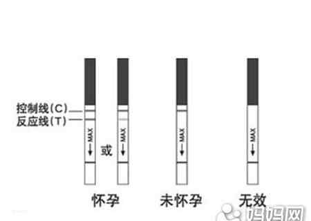 早孕试纸一浅一深 早孕试纸一深一浅？可能是“诈胡”！文章配图