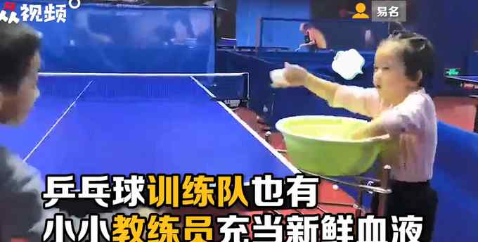 小女孩给小男孩递补乒乓球 配合满分！一丢一拿精准卡点 萌翻网友