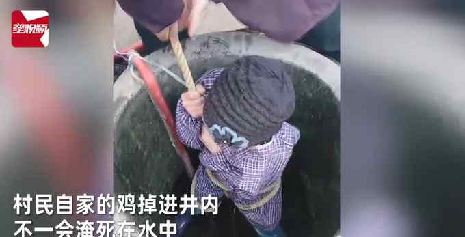 江西一村民自家的鸡掉井里 家长竟绑孩子下水井捞鸡！网友吵翻